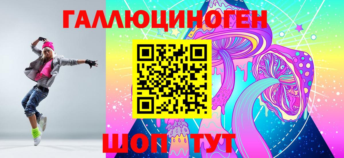 Верхняя Пышма  Галлюциногенные грибы Cubensis  Вход с VPN 