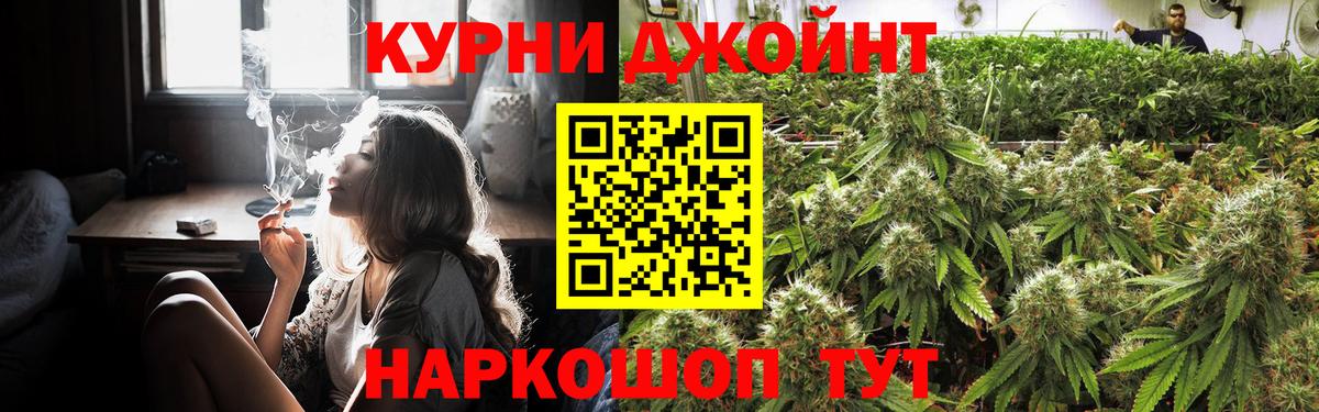 Канабис тримм  Шишки марихуана планчик  Марихуана план  Верхняя Пышма  Вход с VPN 